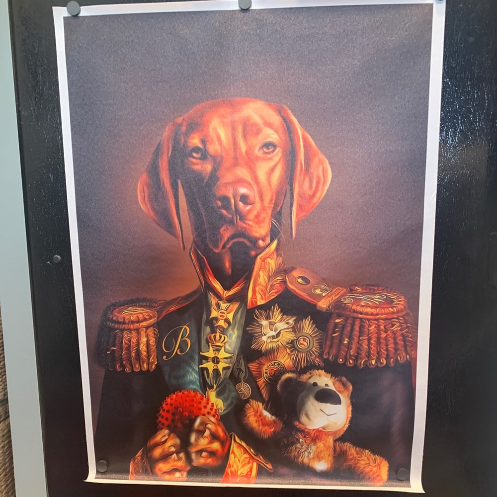 AWESOME PRINT OF DOG